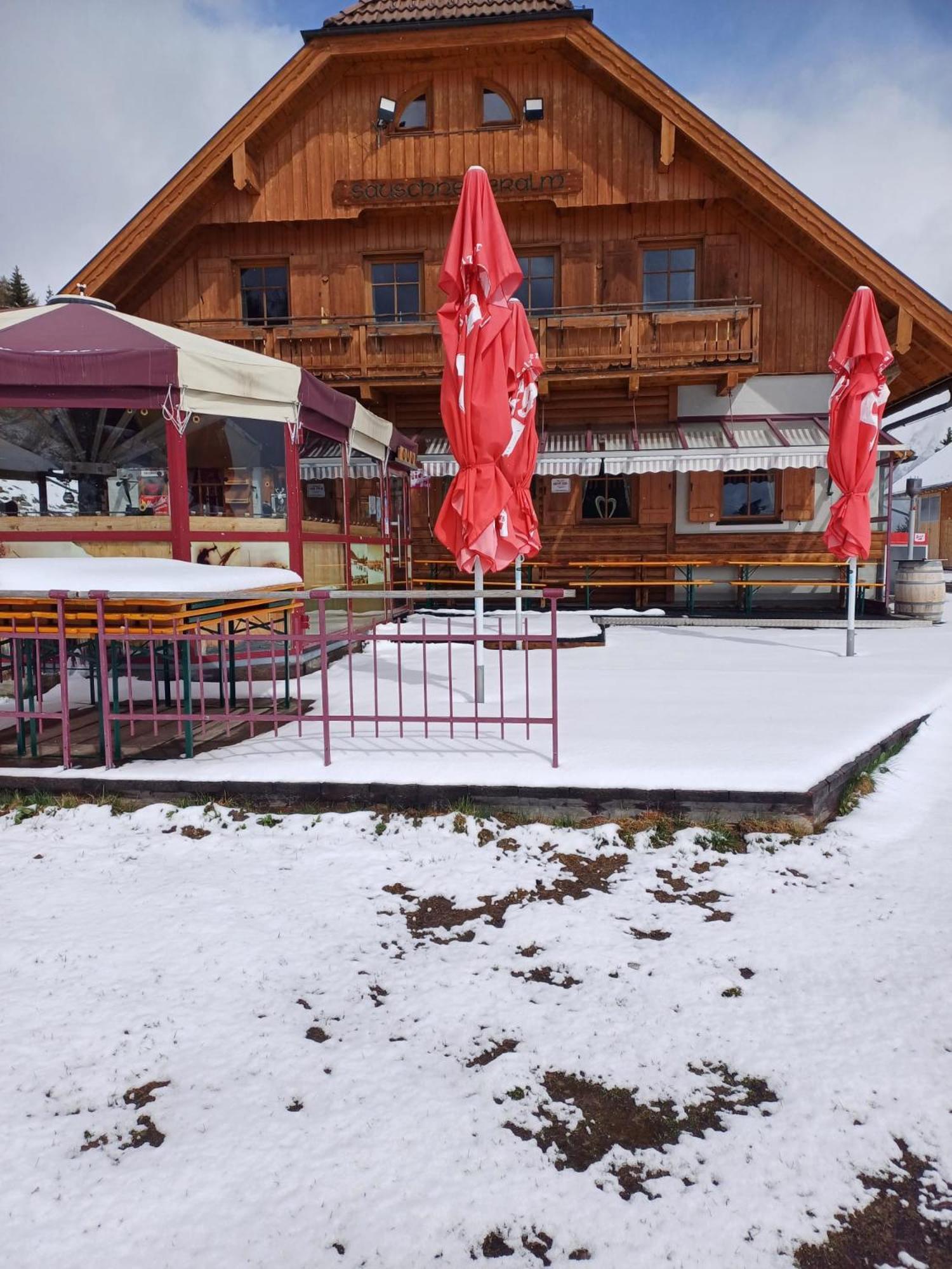 Sauschneideralm Hotel Faningberg Exterior foto